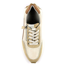 Lunar - Calvin Trainer