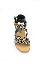 Blowfish - Fandie B Black Ocelot Print