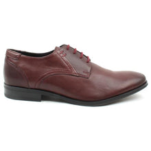 Dubarry - Drago