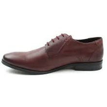 Dubarry - Drago