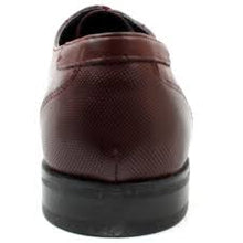 Dubarry - Drago
