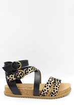 Blowfish - Fandie B Black Ocelot Print