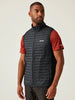 Regatta - Anderson Gilet