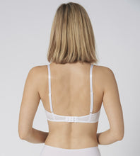 Triumph -AMOURETTE WHP