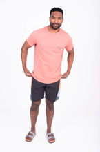 Brakeburn - Rainbow Boardshorts