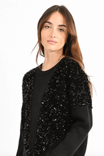 Molly Bracken - Sequin Yoke Sweater